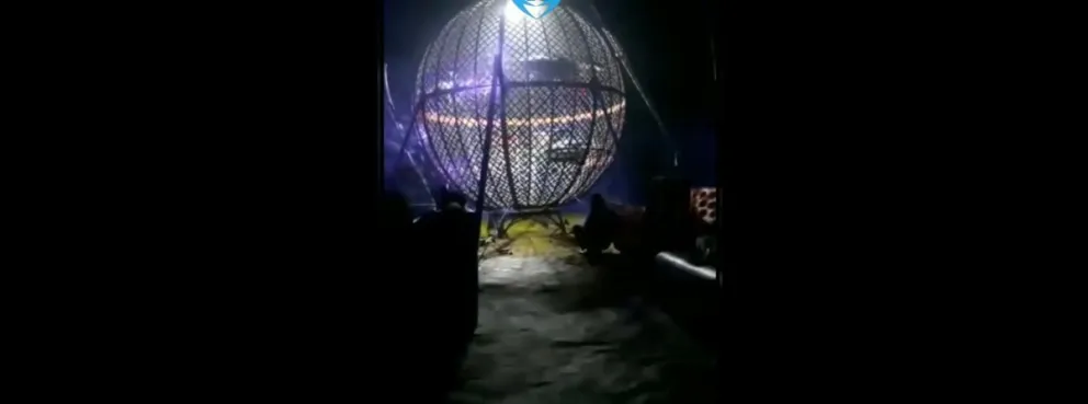 |VIDEO| Terror y desesperación en el circo: tremendo choque entre motos en medio de un show