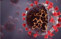 Coronavirus: un nuevo estudio afirma que los enjuagues bucales servirían para prevenir los contagios