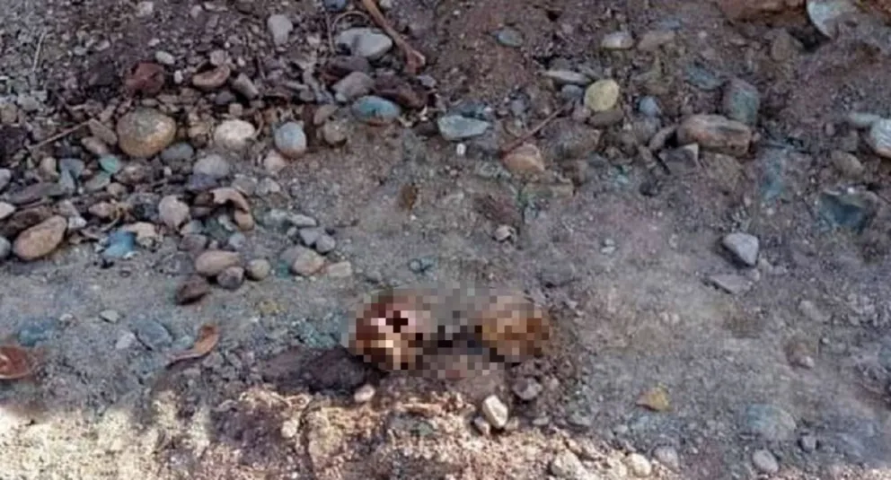 Personal municipal realizaba trabajos de excavación, cuando dieron con algo escalofriante