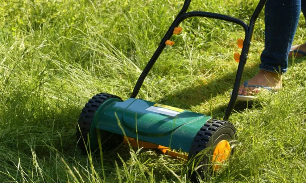 | IMÁGENES | Salteña se llenó de indignación y mostro fotos del ladrón de una máquina de cortar pasto 