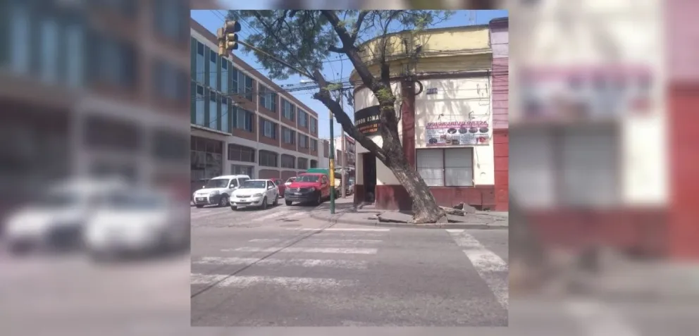 Yo te avisé: varias unidades de SAETA se desviarán este miércoles por un riesgo de desplome