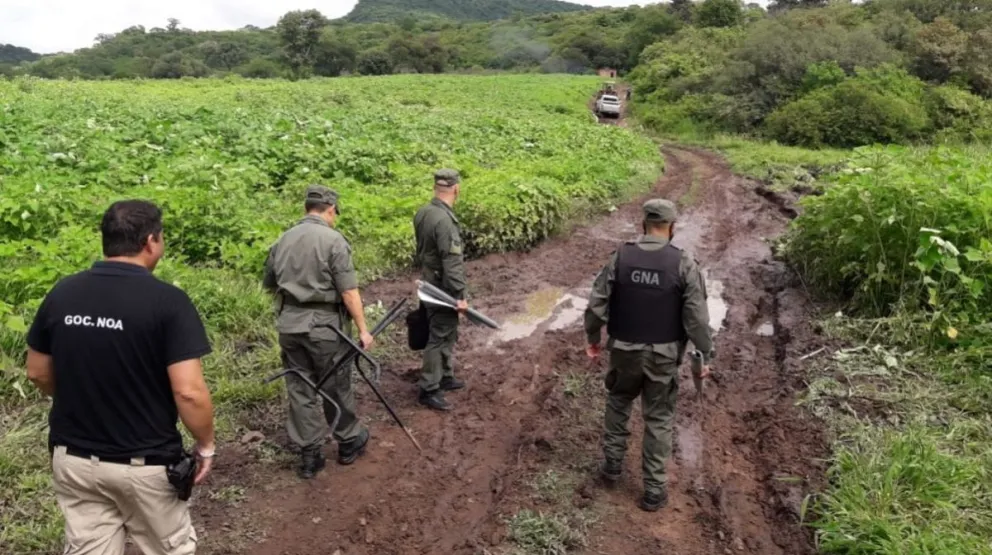 Los rostros detrás del megacultivo de cannabis en Salta 