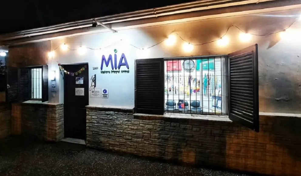 Profesionales de una reconocida veterinaria son acusados de matar a un perrito en una simple operación