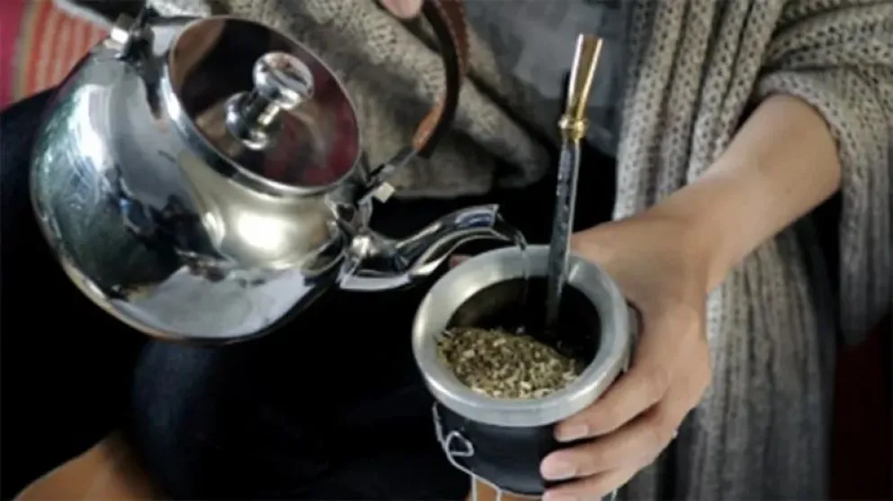 Tomar mate es riesgoso, afirman científicos británicos.