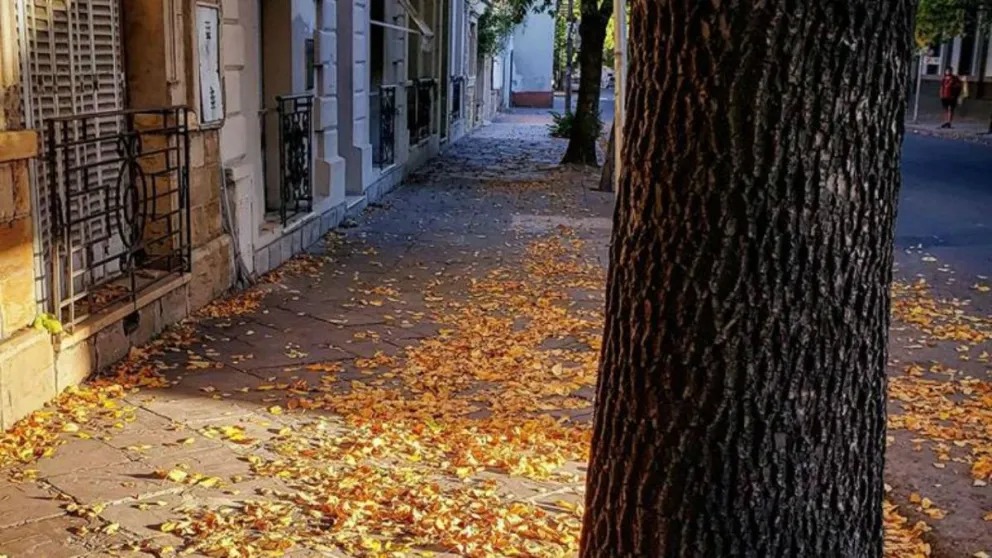 Otoño en Salta.