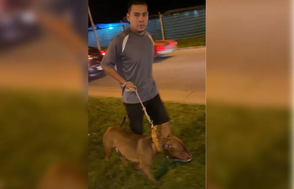 |VIDEO| "Lo agarró del cuello y no lo podíamos separar": el brutal ataque de un pitbull en Salta