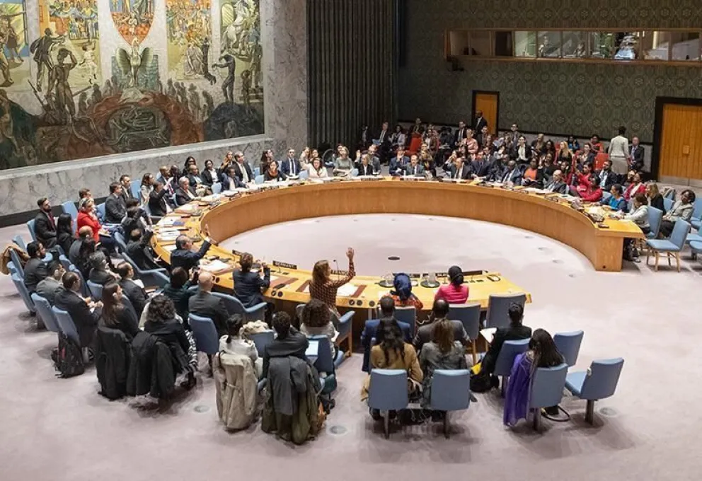 Consejo de Seguridad de ONU.