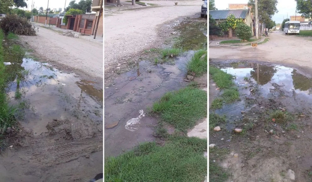 |FOTOS| "No se aguanta el olor a podrido": el duro reclamo de los vecinos por una pérdida de agua