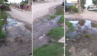 |FOTOS| "No se aguanta el olor a podrido": el duro reclamo de los vecinos por una pérdida de agua