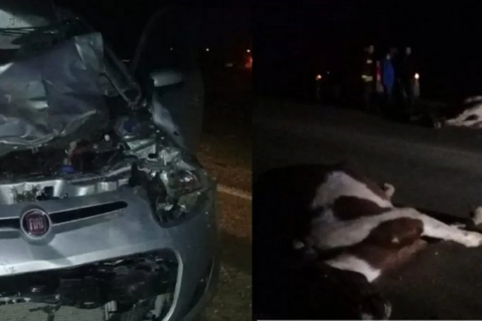 Dos caballos provocaron un accidente fatal sobre la ruta 9