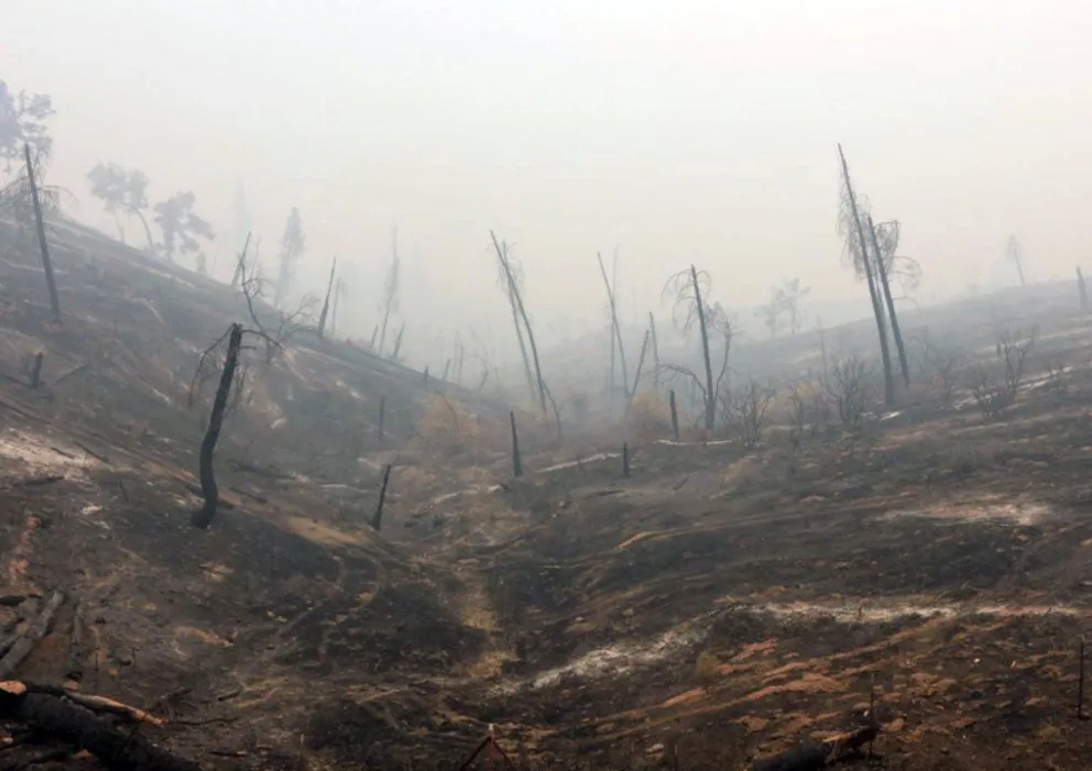 Evacúan a miles de personas por incendios forestales en California