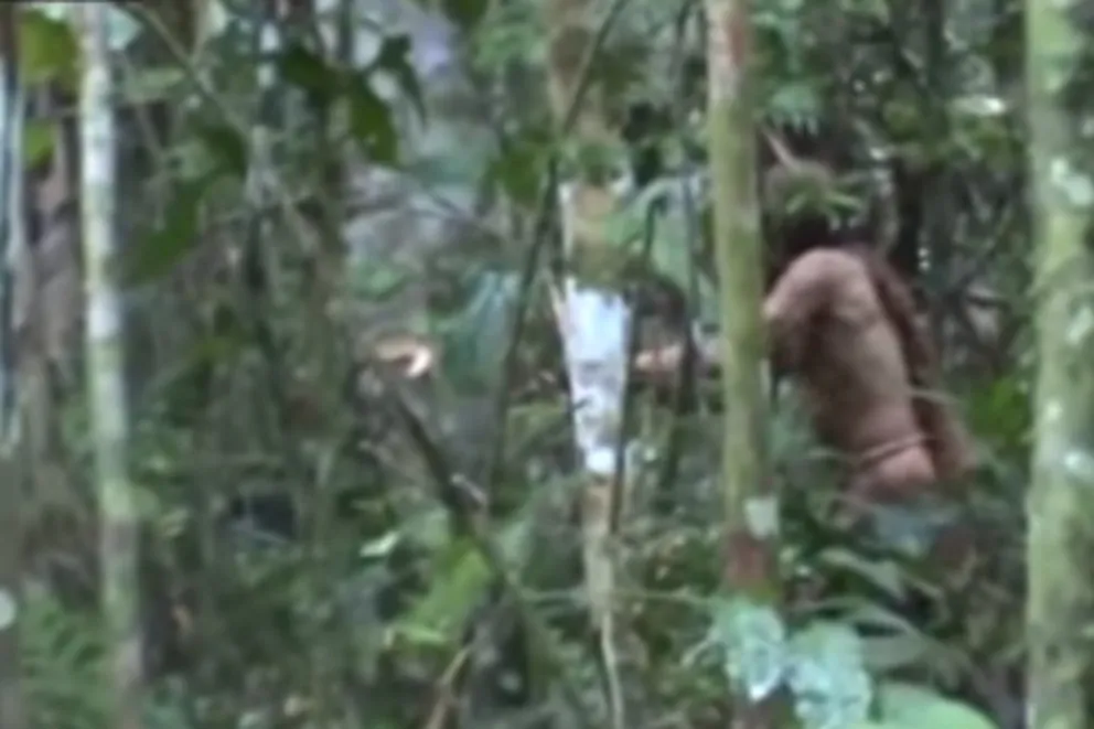 "Hombre indígena": fue fotografiado semidesnudo y derribando un árbol con un hacha. VIDEO