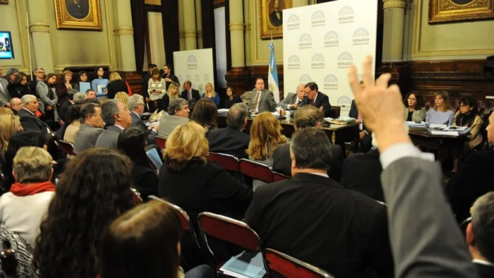 Aborto legal: no hubo dictamen