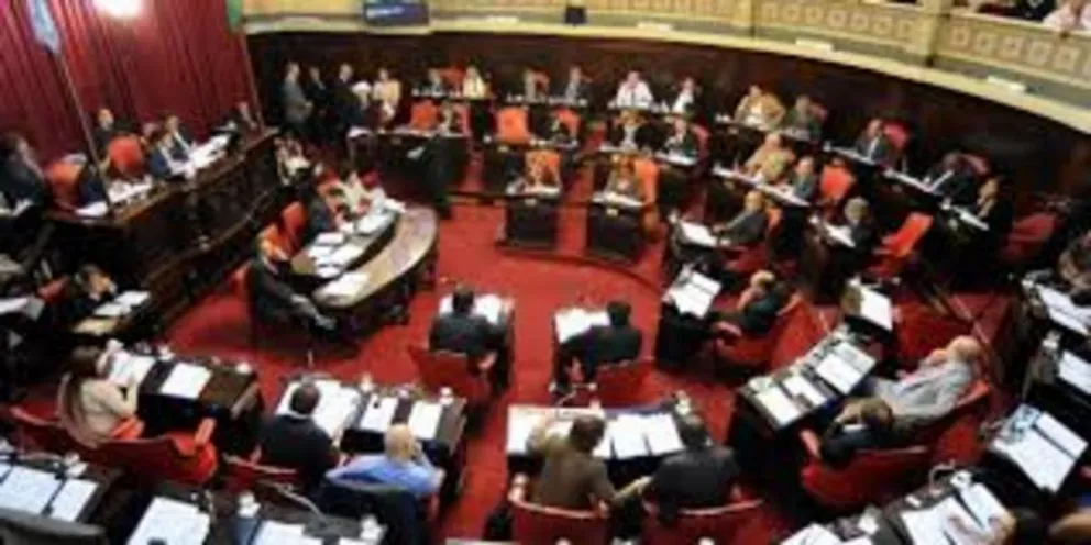 El Senado firmaba dictámenes sobre legalización del aborto