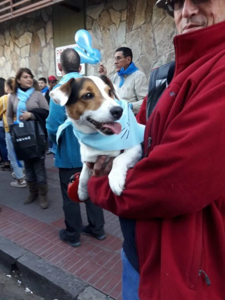 Las mejores fotos de la Marcha ProVida en Salta