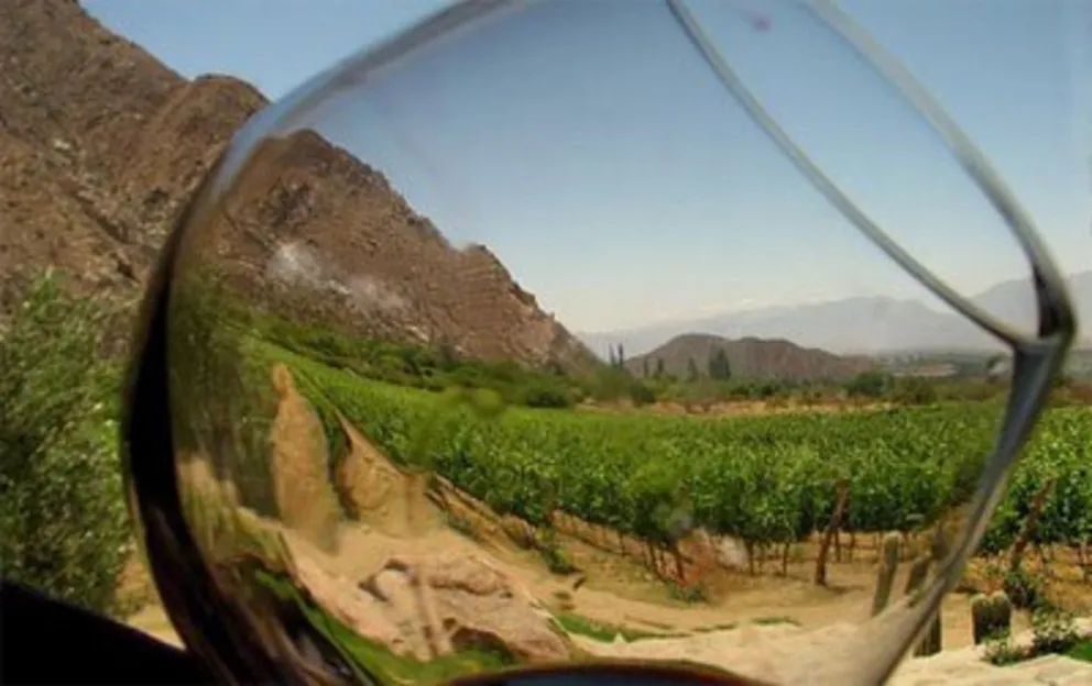 Finca Las Nubes Cafayate celebra la fiesta de la vendimia en su bodega