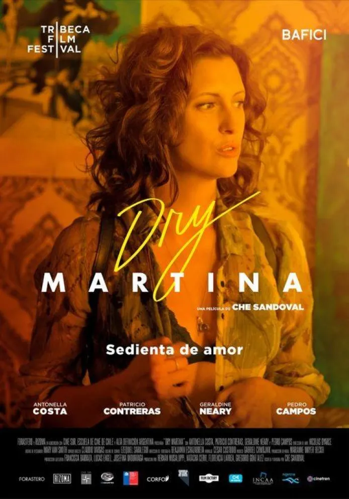 Espacio Incaa Hogar Escuela: se proyecta "Dry Martina". Mirá el trailer