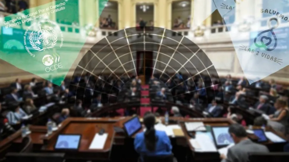 Voto a voto, cómo está ahora la definición del aborto legal en el Senado