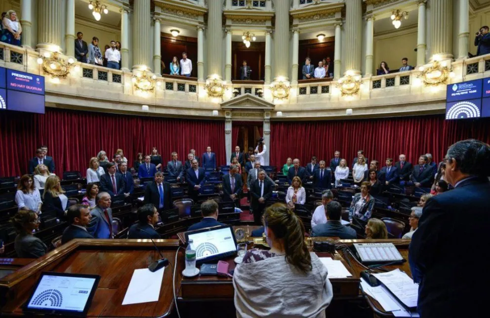 El Senado debate el proyecto de legalización del aborto
