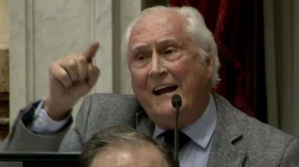El apasionado discurso de Pino Solanas: "Se los digo a las chicas que están afuera, esto es un triunfo monumental"