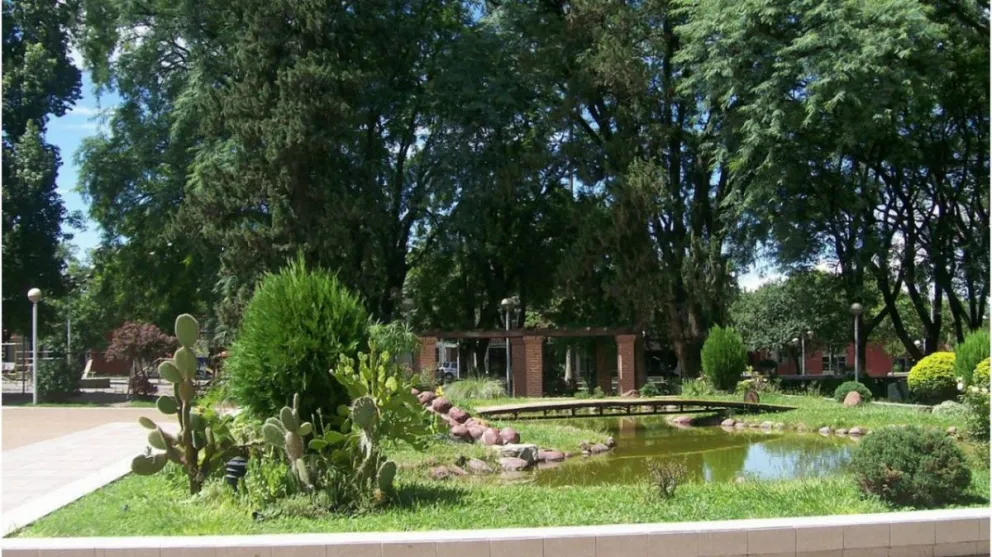 Abrió la canilla de su casa y mirá con lo que se encontró