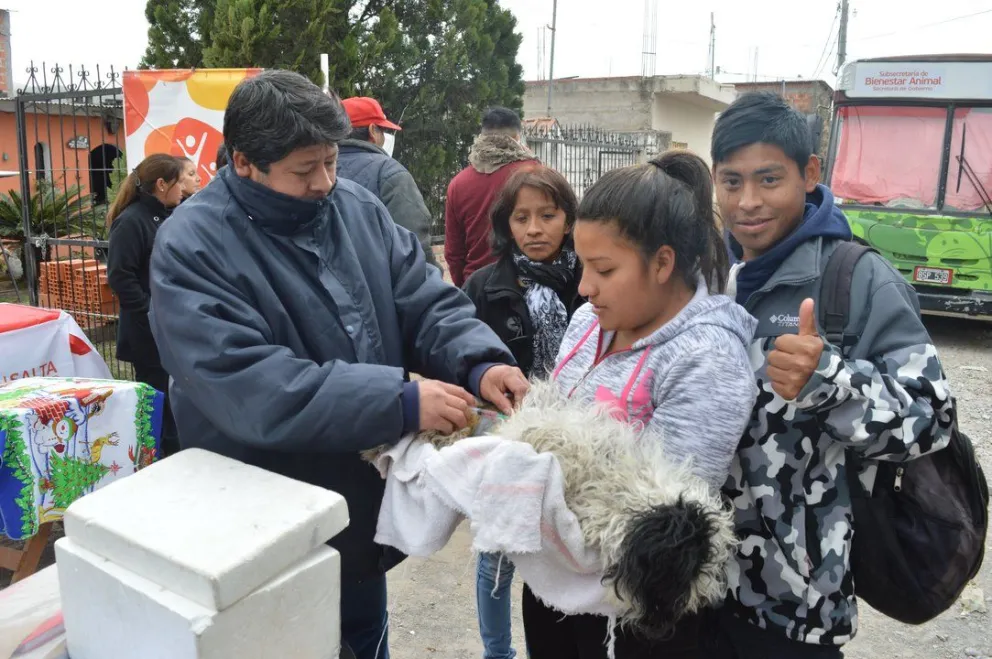 Te contamos los lugares de vacunaciones y castraciones de mascotas