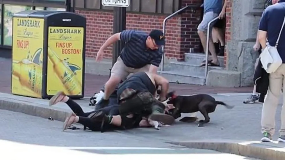 Una mujer fue atacada por dos pitbull