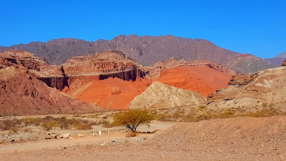 SALTA MÁGICA:  Voces Críticas te regala estos paisajes de Cafayate