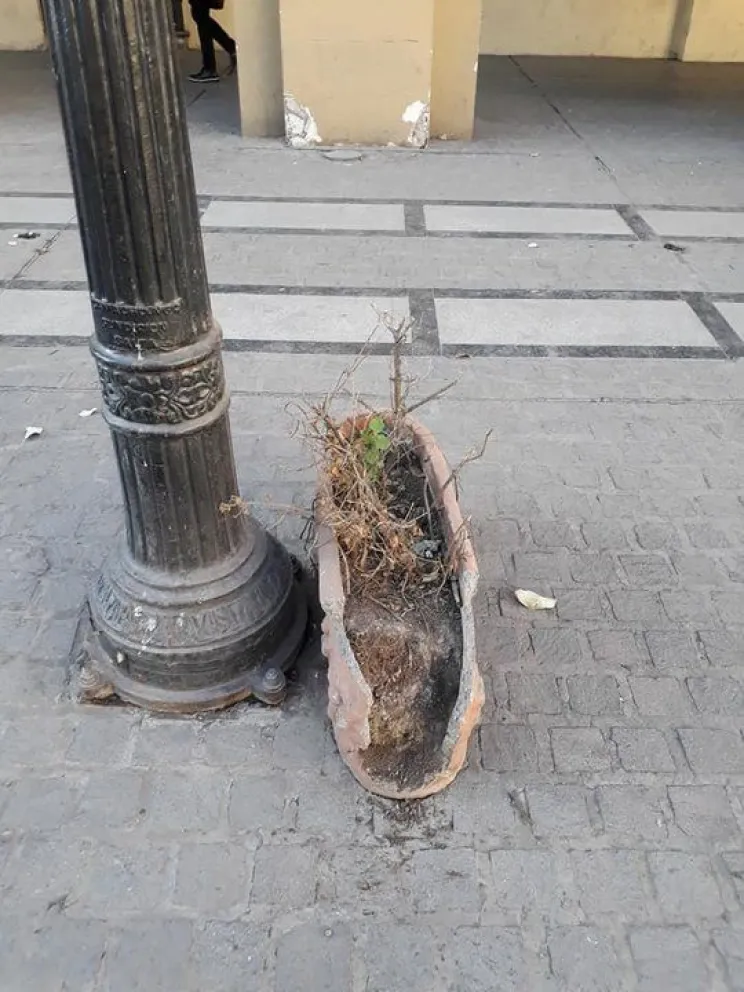 La esposa del ministro López Arias estalló en las redes por unos canteros en la calle