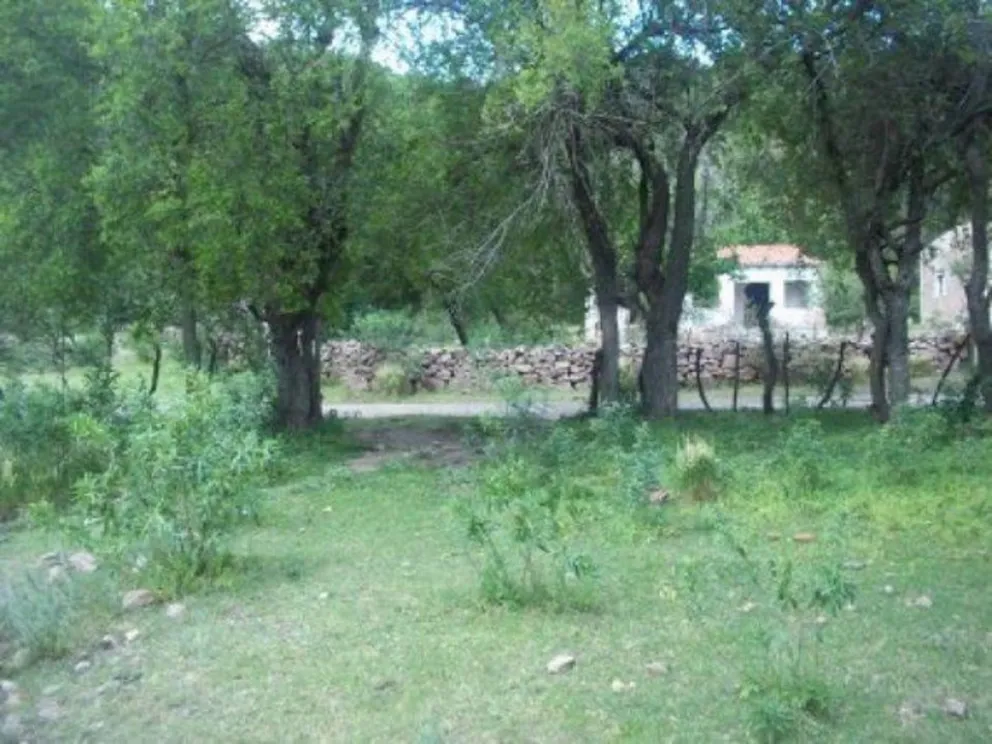 Denunció que un duende le dio una paliza cuando fue a hacer sus necesidades en el campo