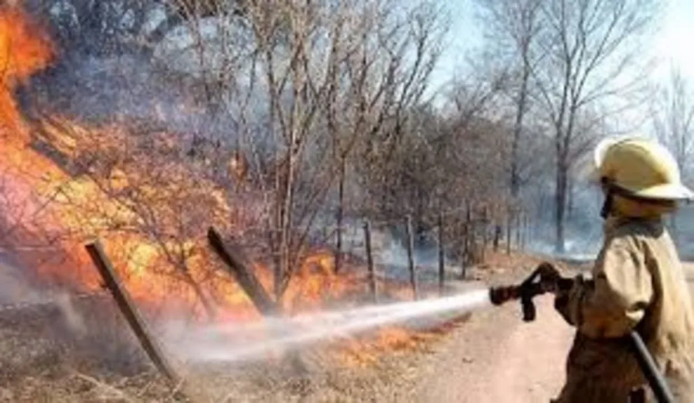 Incendios forestales: la cifra es mayor a la del año pasado