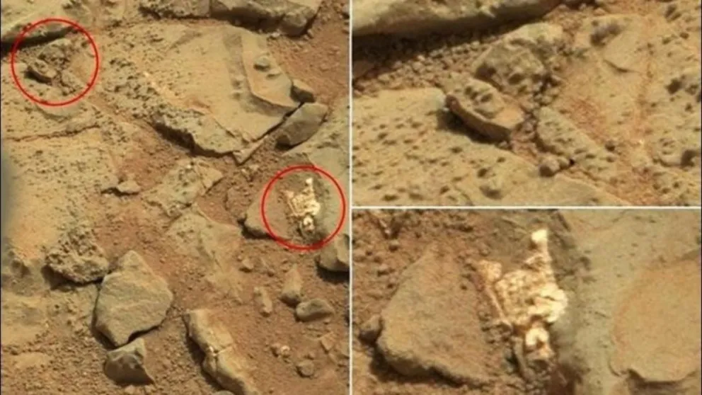 Analizan imágenes de un supuesto esqueleto alienígena.  ¡Mirá el video!