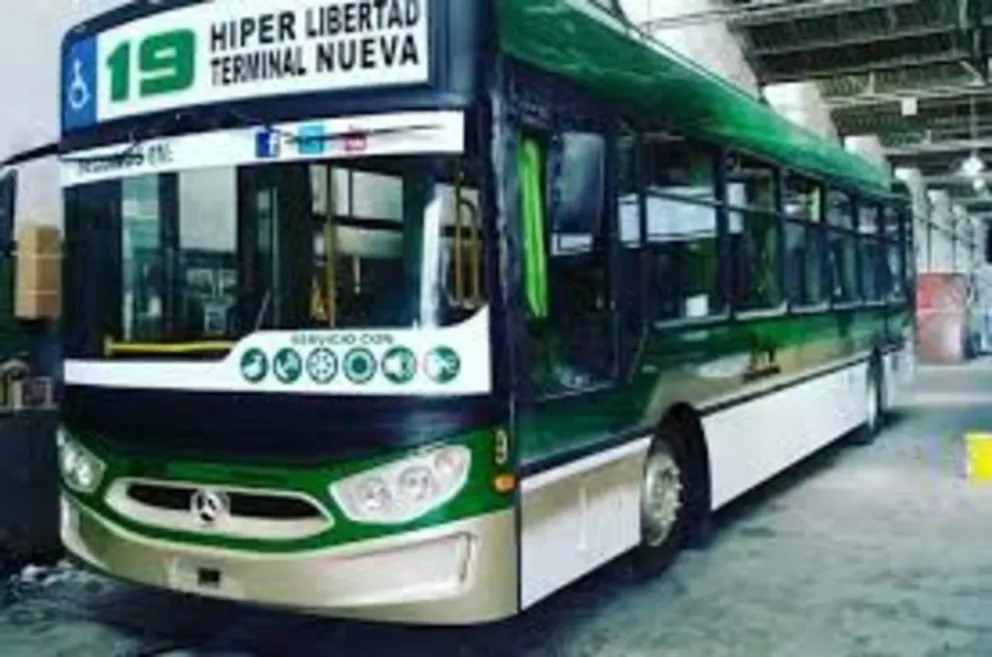 Asalto en la línea 19: los pasajeros evitaron el robo. VIDEOS