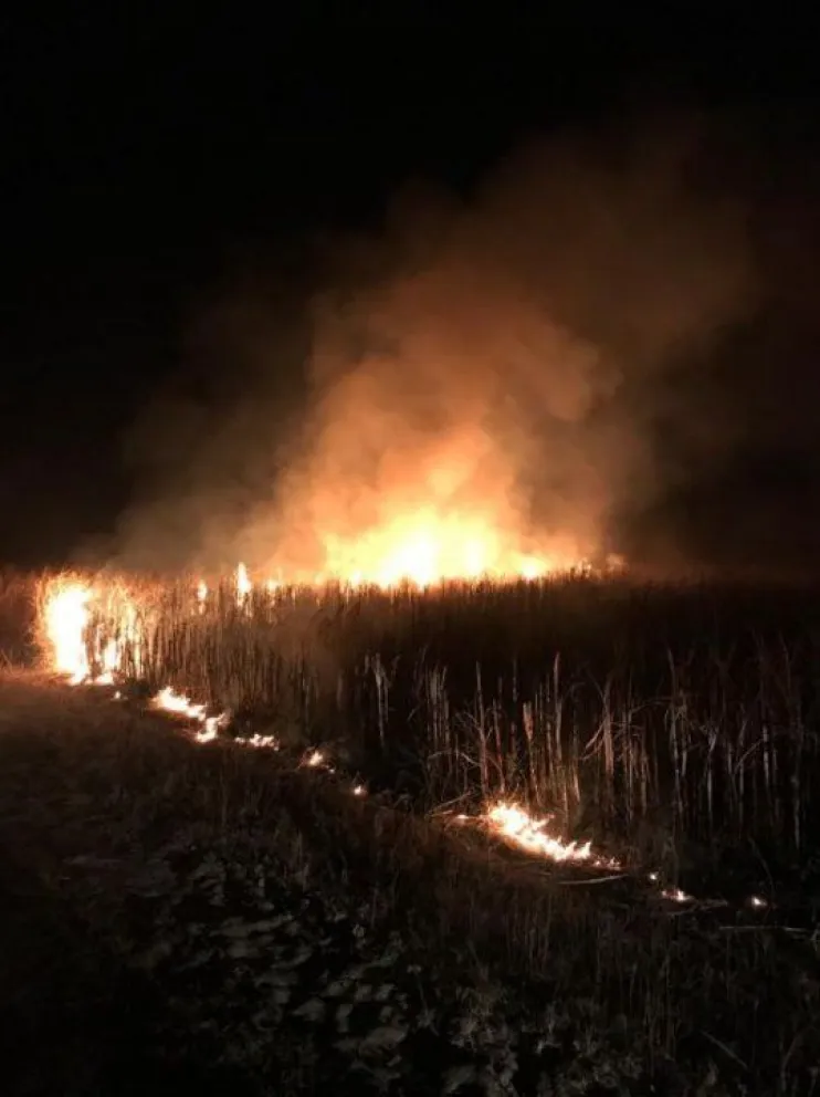 Incendio en Ingenio San Isidro: sospechan que fue intencional