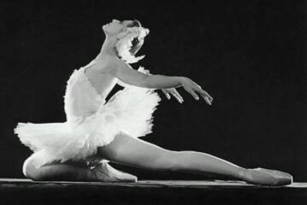 "El lago de los cisnes", de Tchaikovsky, en el Teatro Provincial
