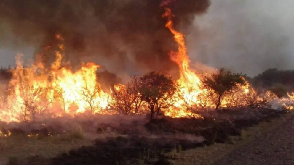 Gran incendio forestal en Mendoza: ordenaron evacuar dos barrios. Videos