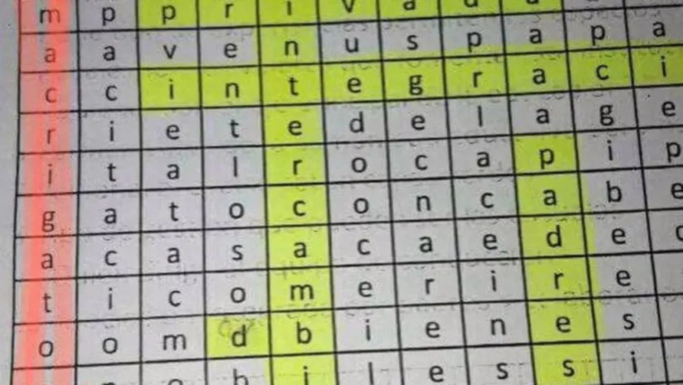 Polémica por un docente que dio a sus alumnos un crucigrama que dice "Macri gato"