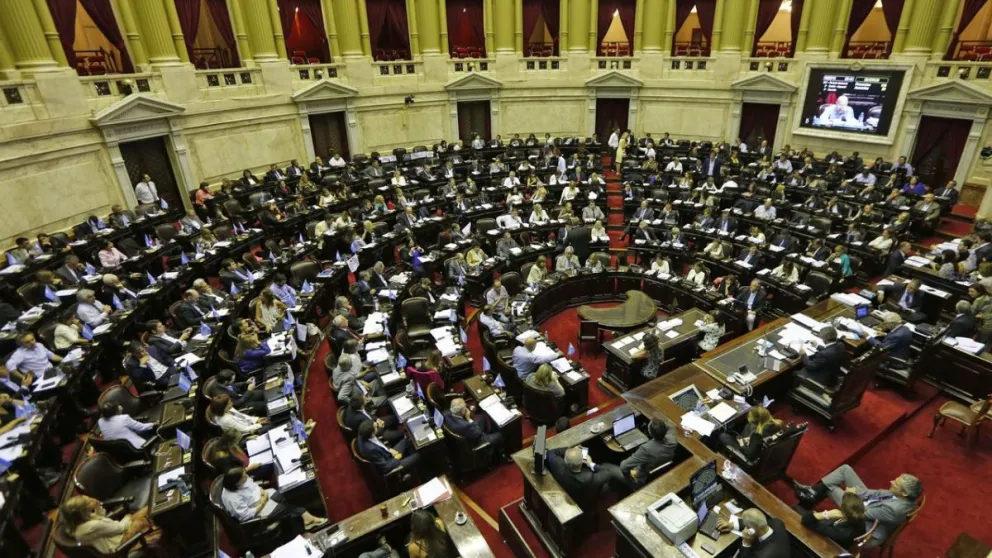La diputada que habló de "Macri gato", y el legislador que confesó estar enamorado de Cristina Kirchner