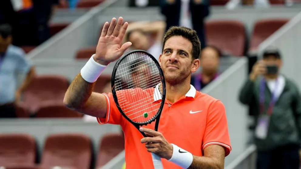 Juan Martín Del Potro: "Caí de lleno contra el piso"