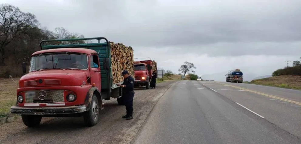 En el sur de Salta secuestraron dos camiones con importante cargamento