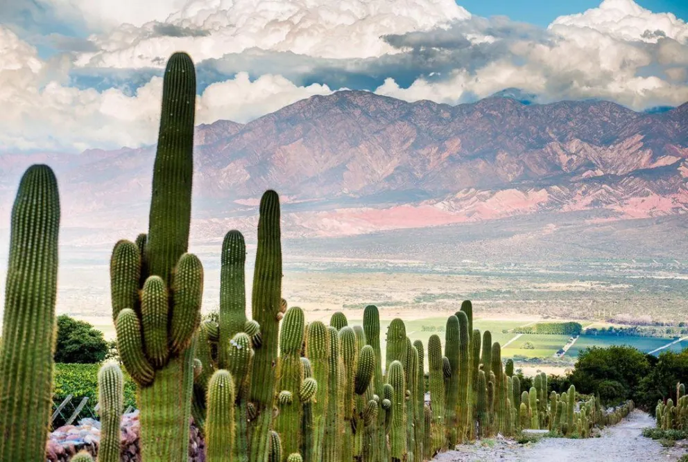 Salta elegido entre los 10 destinos turísticos más fascinantes para el 2019