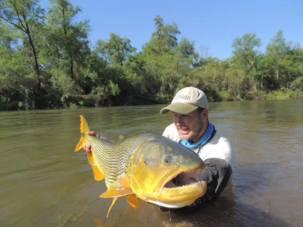 Pescadores en el Río Juramento atrapan un enorme dorado. Video