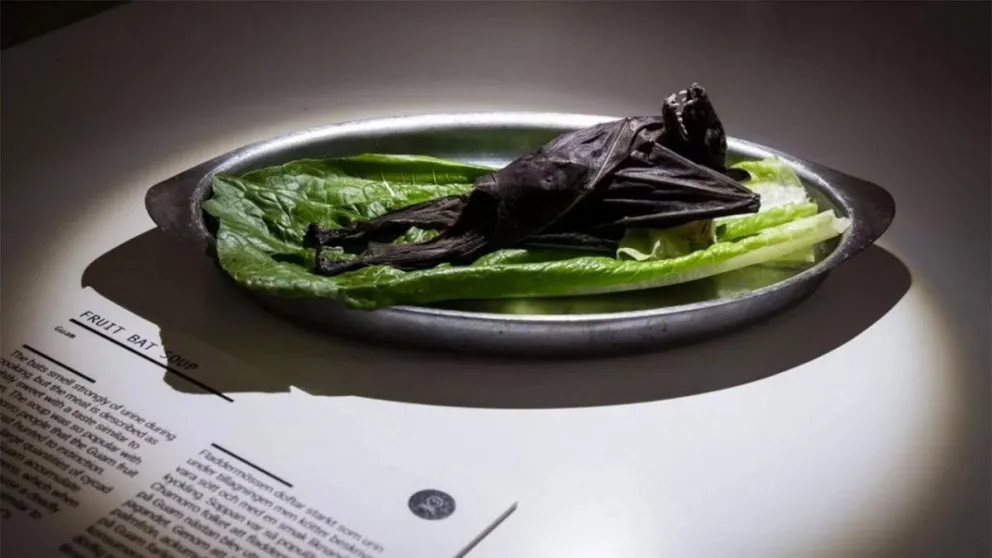 Abrió el museo de la comida más repugnante: entre los "manjares"  hay testículos de toro, fetos de patos y demás