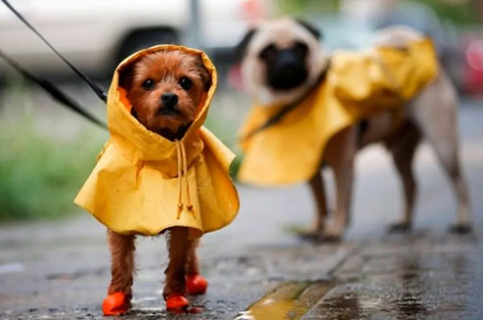 No hay tregua: continuarán las lluvias en La Linda
