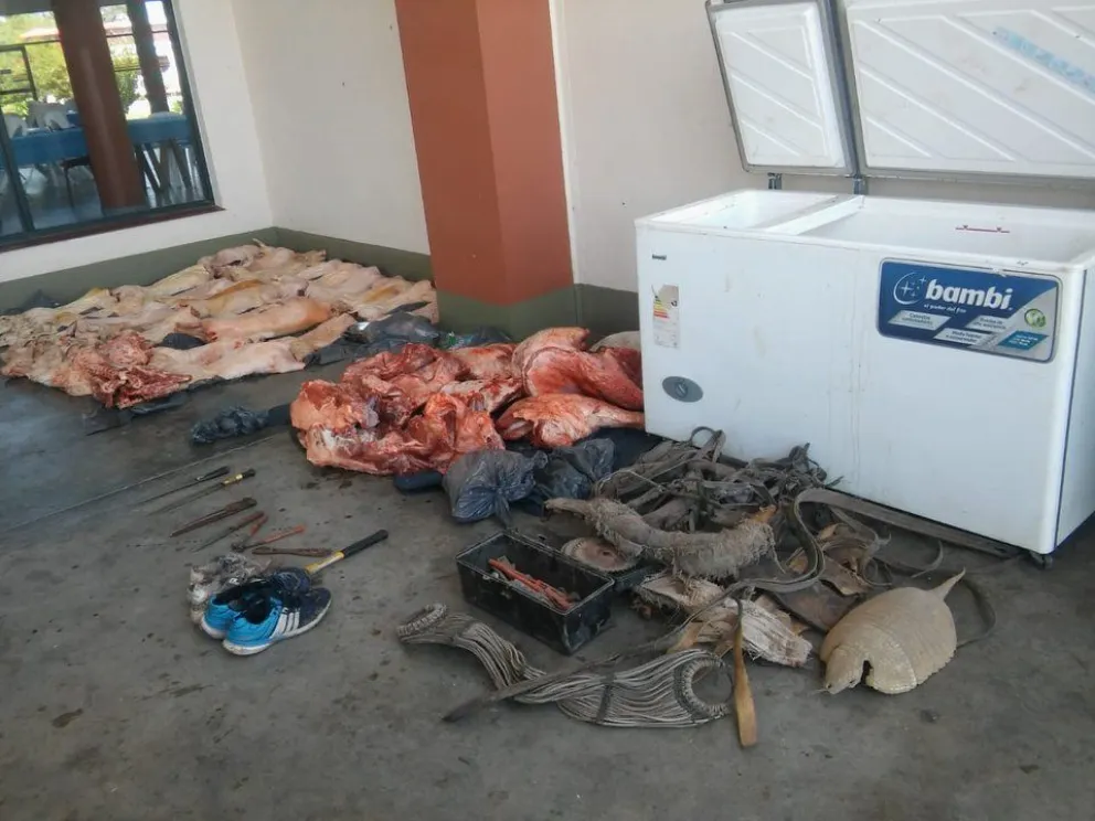 Insólito: cayó banda que robaba animales
