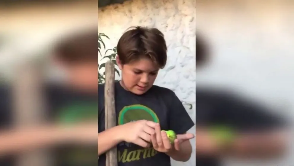 ¡DALE PLAY!: el accidentado entierro de Chimuelo que se convirtió en el primer viral 2019