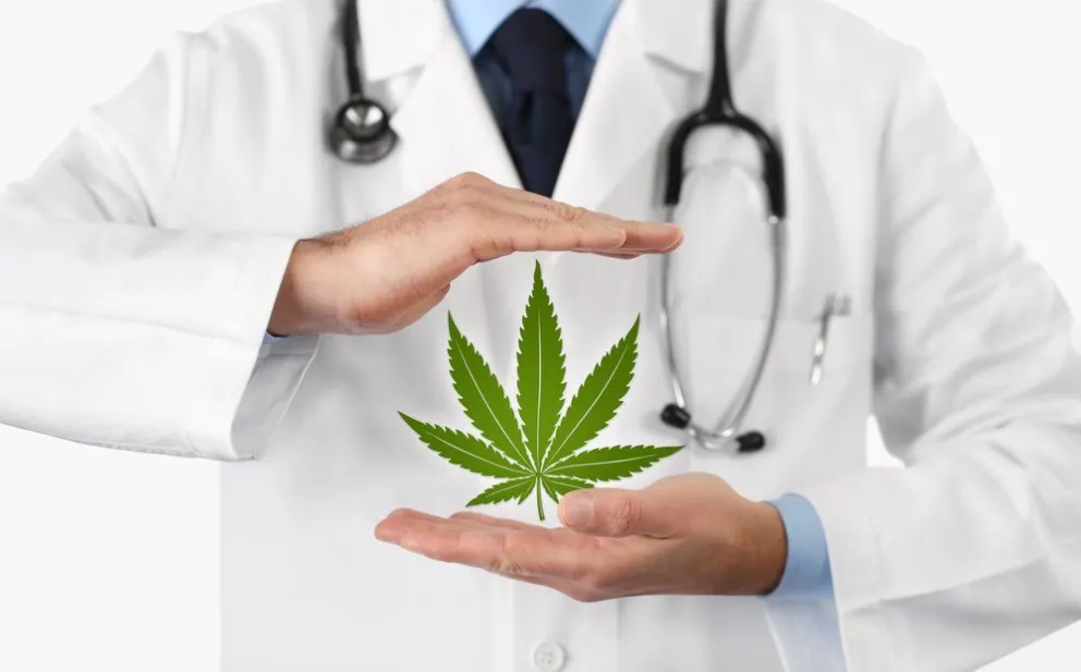 Cannabis: un gran paso para la salud salteña