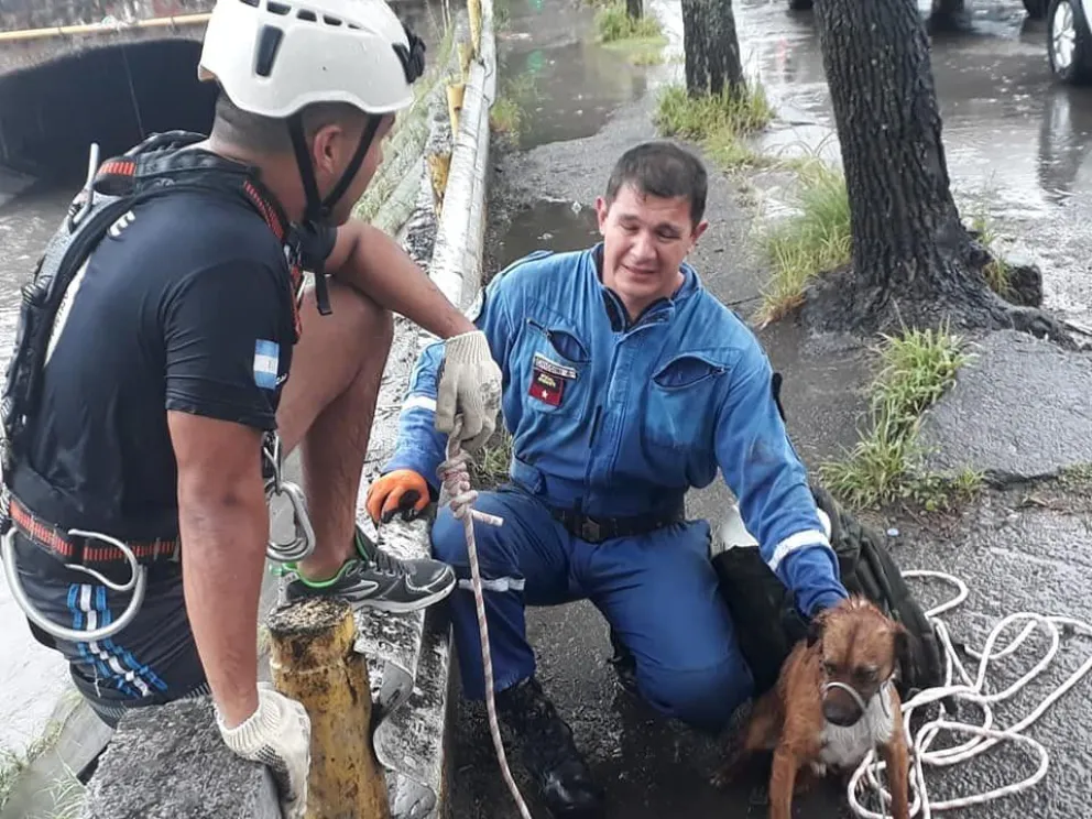 Sin pensarlo, rescatista salteño se arrojó a la correntada para salvar una vida