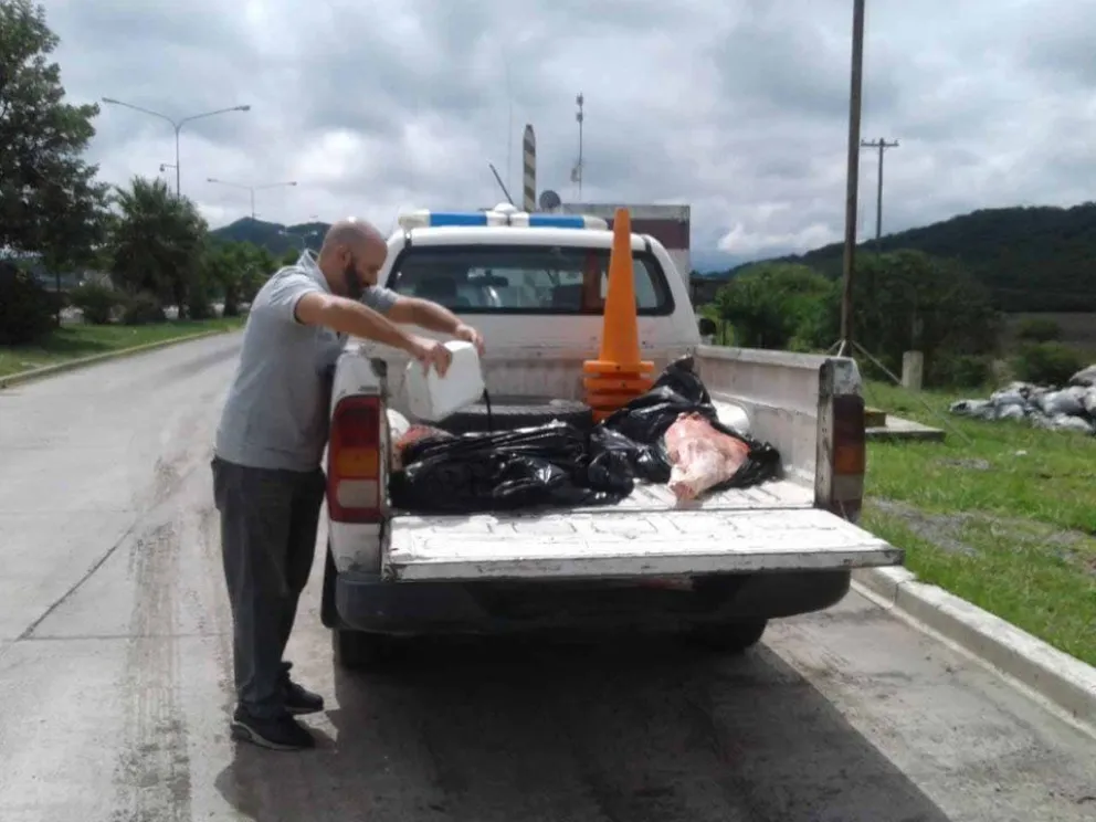 En medio de la ruta: secuestran carne no apta para el consumo