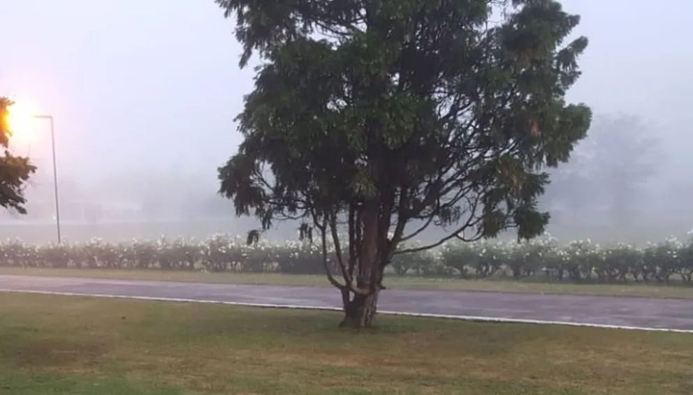 El clima hoy domingo en Salta: parcialmente nublado y con neblinas